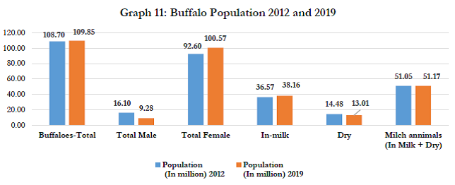 Buffalo Population