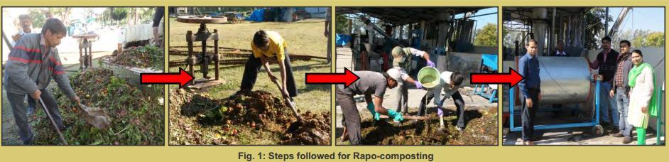 Rapo composting steps