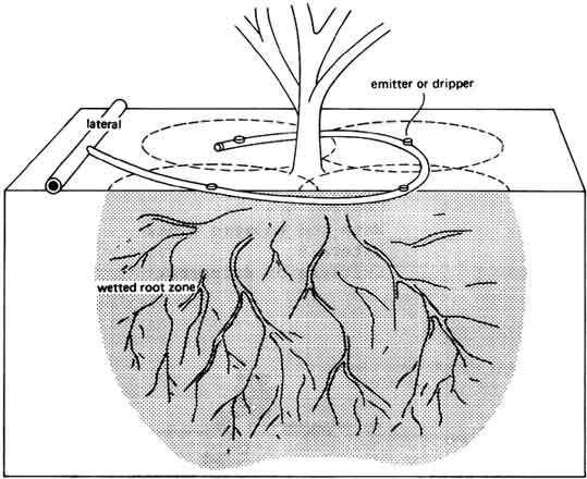 Drip Irrigation System Vikaspedia