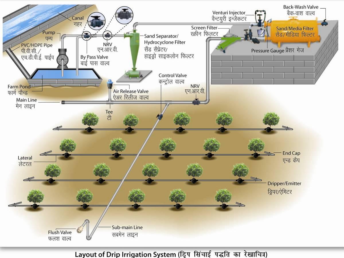 Drip Irrigation System Vikaspedia Drip Irrigation System Vikaspedia