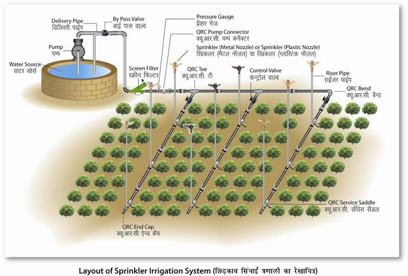 irrigation system schematic