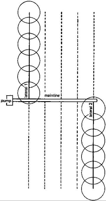 sprinkler layout