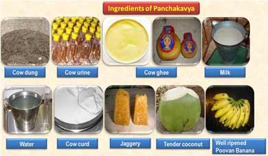 Panchagavya ingredients