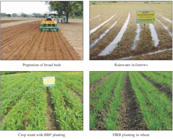 Improved planting methods for enhancing water use efficiency and crop