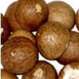 areca nut