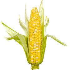 corn