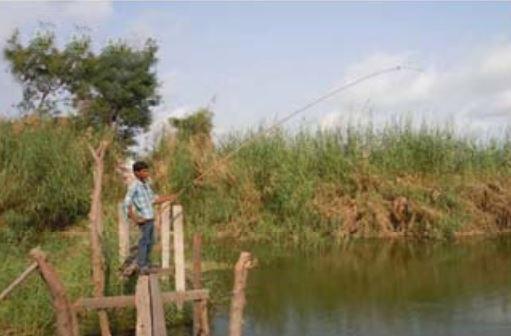 Fishing Crafts and Gears in Lakes of India — Vikaspedia