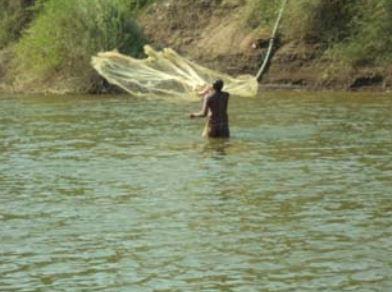 Traditional Cast Net Fishing in River 