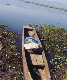 Dugout canoe.JPG