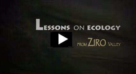  Video on Ecology