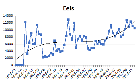 Eels.png