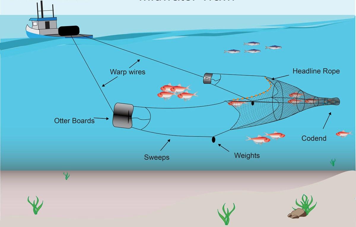 Active Fishing Gears — Vikaspedia