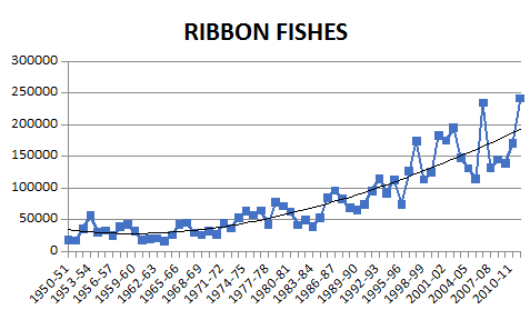 ribbon fishes.png