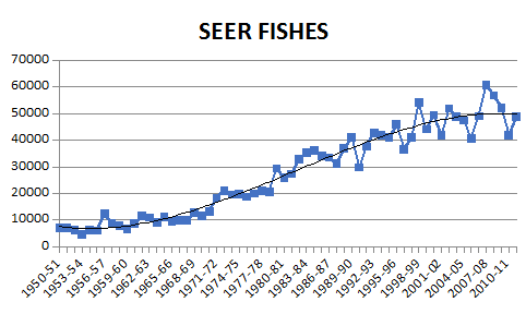 seer fishes.png