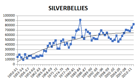 silverbellies.png