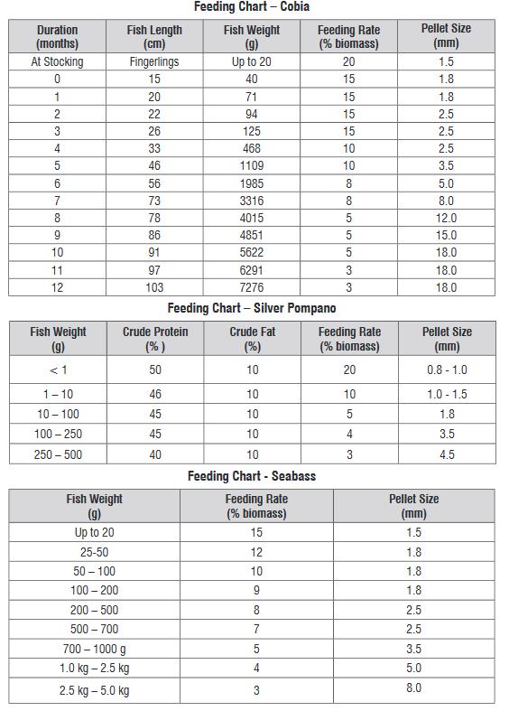 Feed chart