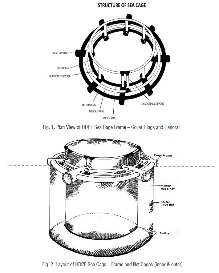 Guidelines for Sea Cage Farming in India — Vikaspedia