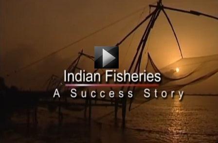 india  fisheries