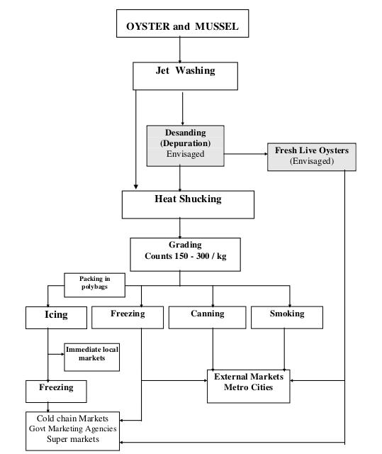 post-harvest flowchart