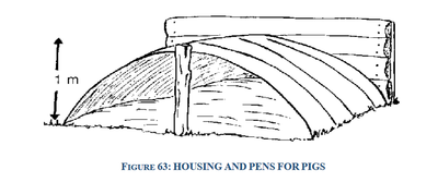 housing and pens for pig