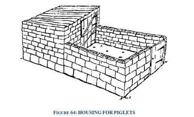 housing for piglets1