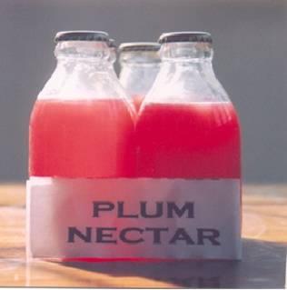 Plum Appetizer