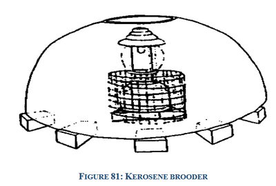 kerosene brooder