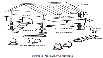moveable house type housingd1