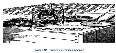 storm lantern brooder