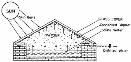 solar stills