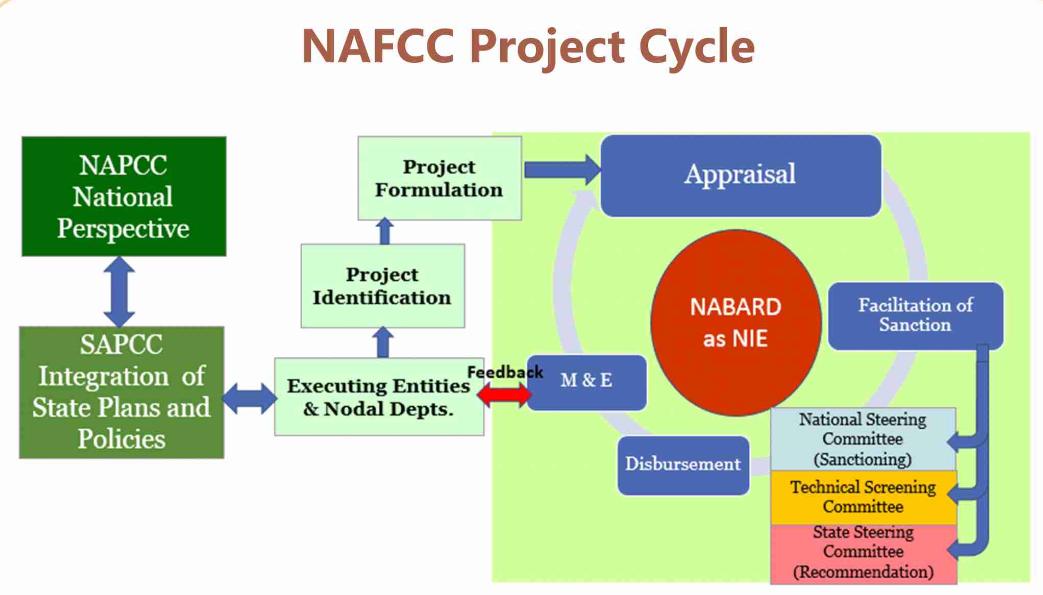 NAFCC plan