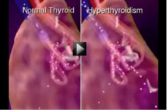 This video explains about Thyroid