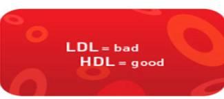 LDL and HDL