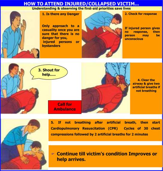  Basic Life Support Techniques Vikaspedia