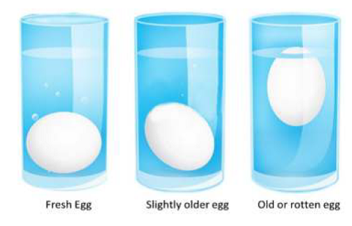 egg-quality-and-safety-vikaspedia