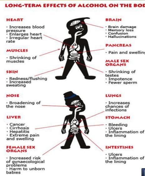 alcohol effect on body