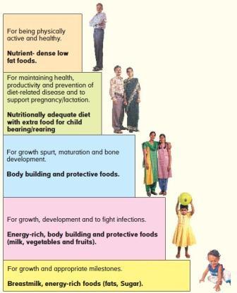 Diet during Different Stages of Life