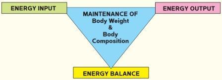 Energy balance