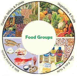 Food groups1