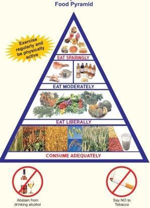 Food Pyramid