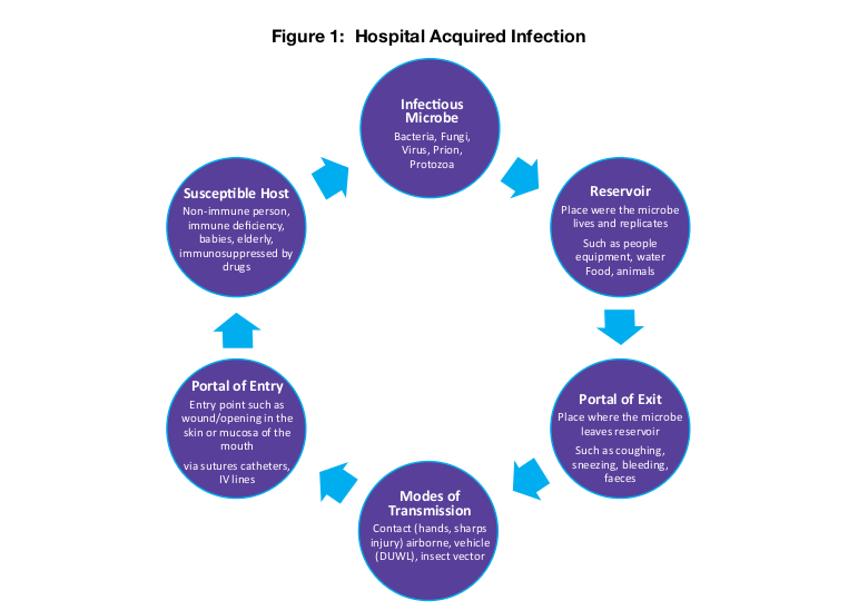 sanitation-and-hygiene-vikaspedia