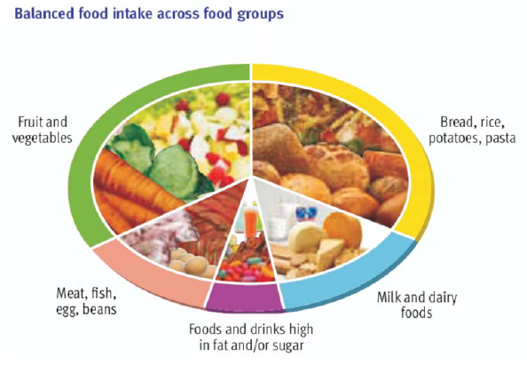 Nutritional Needs for Teens