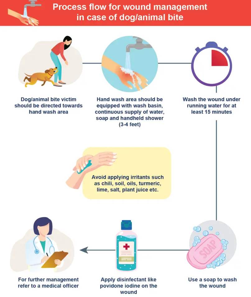 Post Exposure Rabies Protocol Wound Management Guidelines for Rabies Post-Exposure Prophylaxis ...