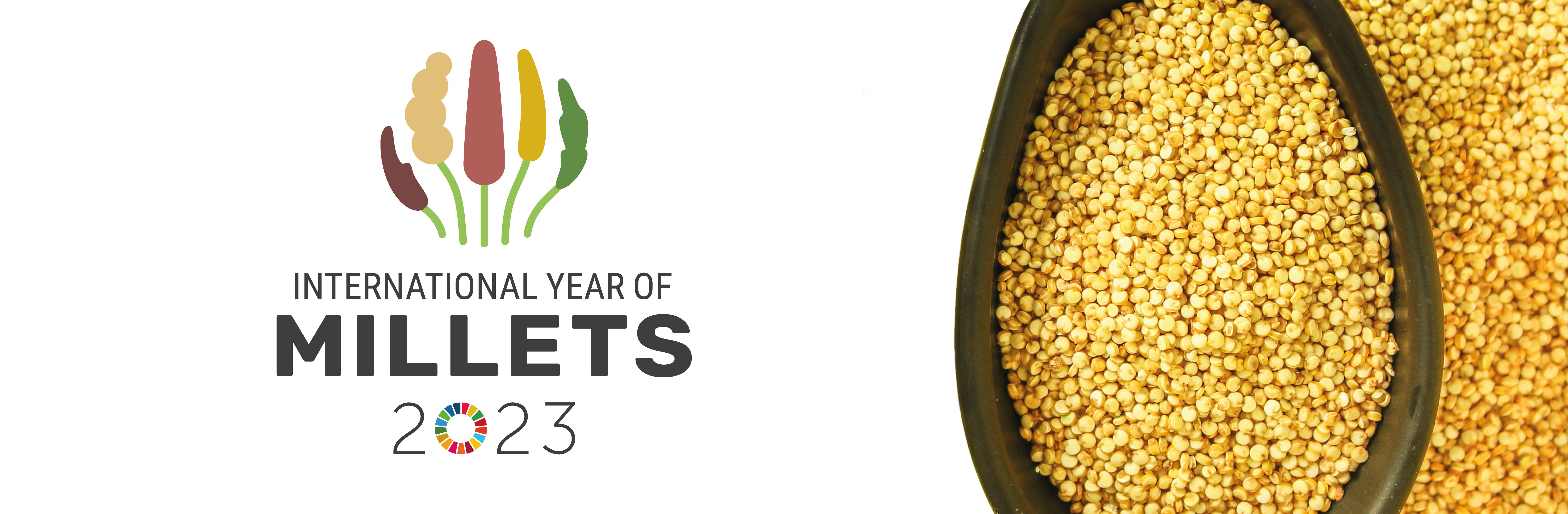 who declared 2023 as the international year of millets