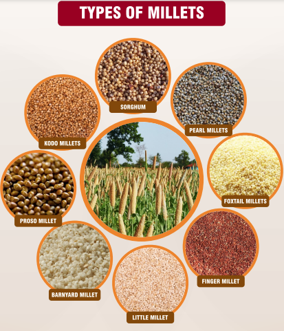 Overview of farm machinery for Millets in India — Vikaspedia