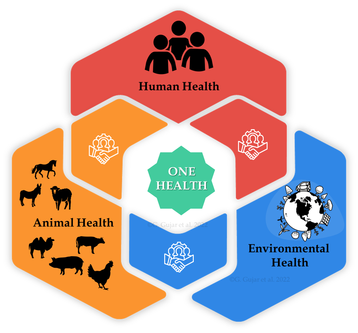 One Health and Global Animal Production — Vikaspedia