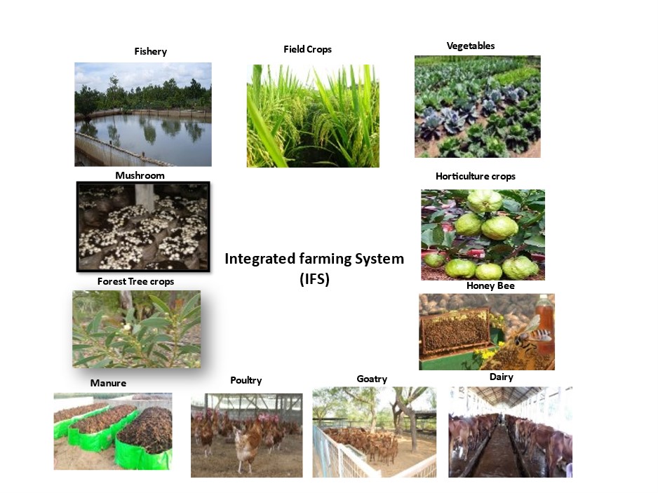Agriculture Part-2 - UPSC PDF Download