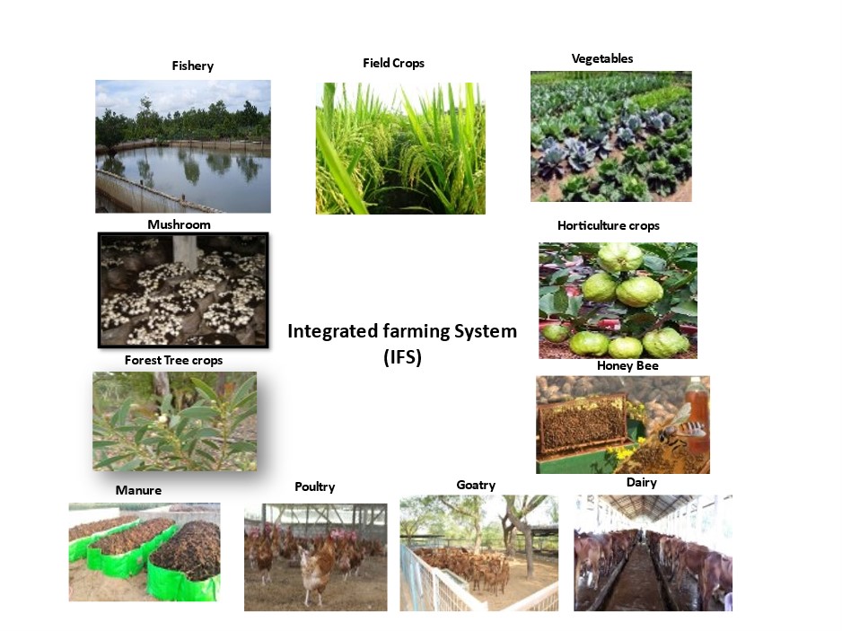 Integrated farming system for sustainable agriculture — Vikaspedia