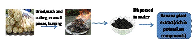 latest url images