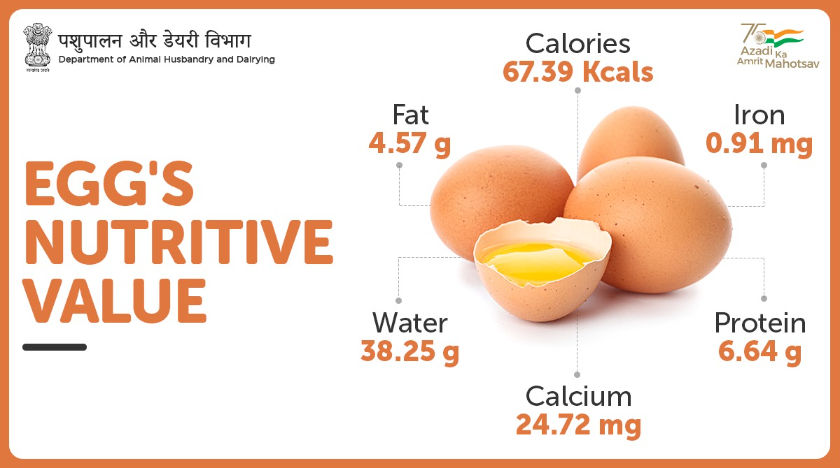 23 how many grams of protein in 3 eggs Ultimate Guide